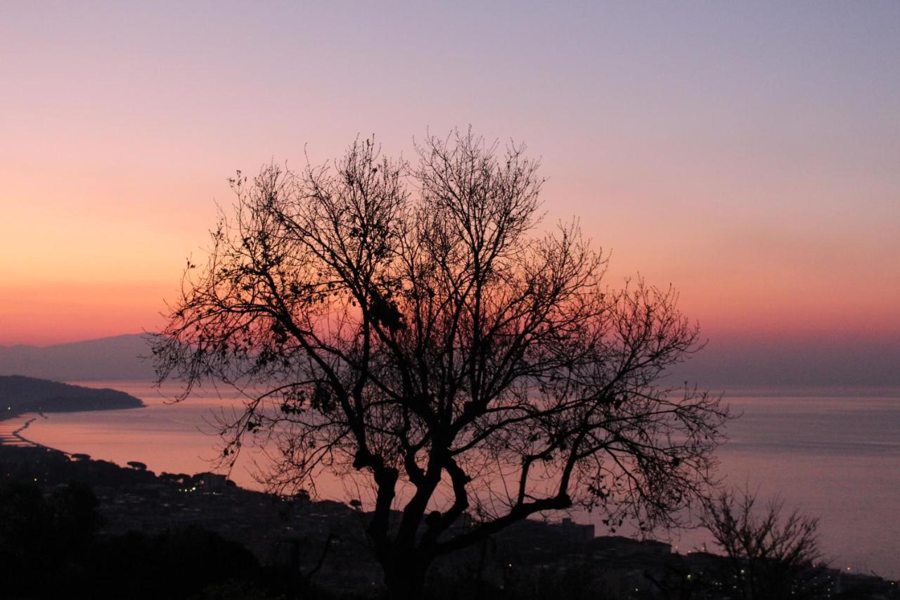 Villa Treglia B&B Formia Exterior foto